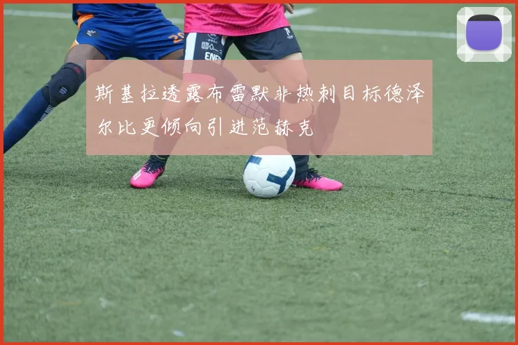 斯基拉透露布雷默非热刺目标德泽尔比更倾向引进范赫克