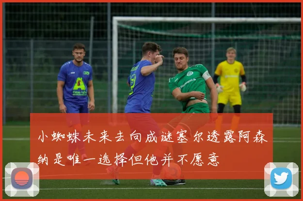 小蜘蛛未来去向成谜塞尔透露阿森纳是唯一选择但他并不愿意