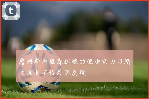詹姆斯加盟森林狼的理由实力与潜力兼具不惧外界质疑